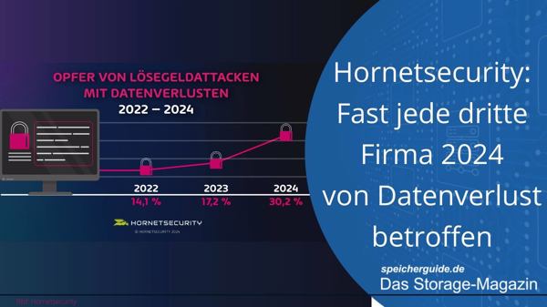 Hornetsecurity: Fast jede dritte Firma 2024 von Datenverlust betroffen